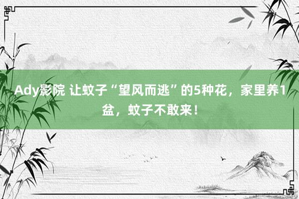 Ady影院 让蚊子“望风而逃”的5种花，家里养1盆，蚊子不敢来！