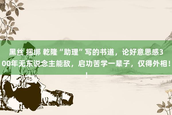 黑丝 捆绑 乾隆“助理”写的书道，论好意思感300年无东说念主能敌，启功苦学一辈子，仅得外相！