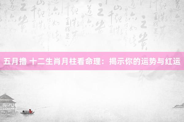 五月撸 十二生肖月柱看命理：揭示你的运势与红运