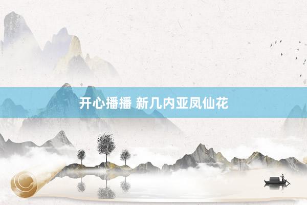 开心播播 新几内亚凤仙花